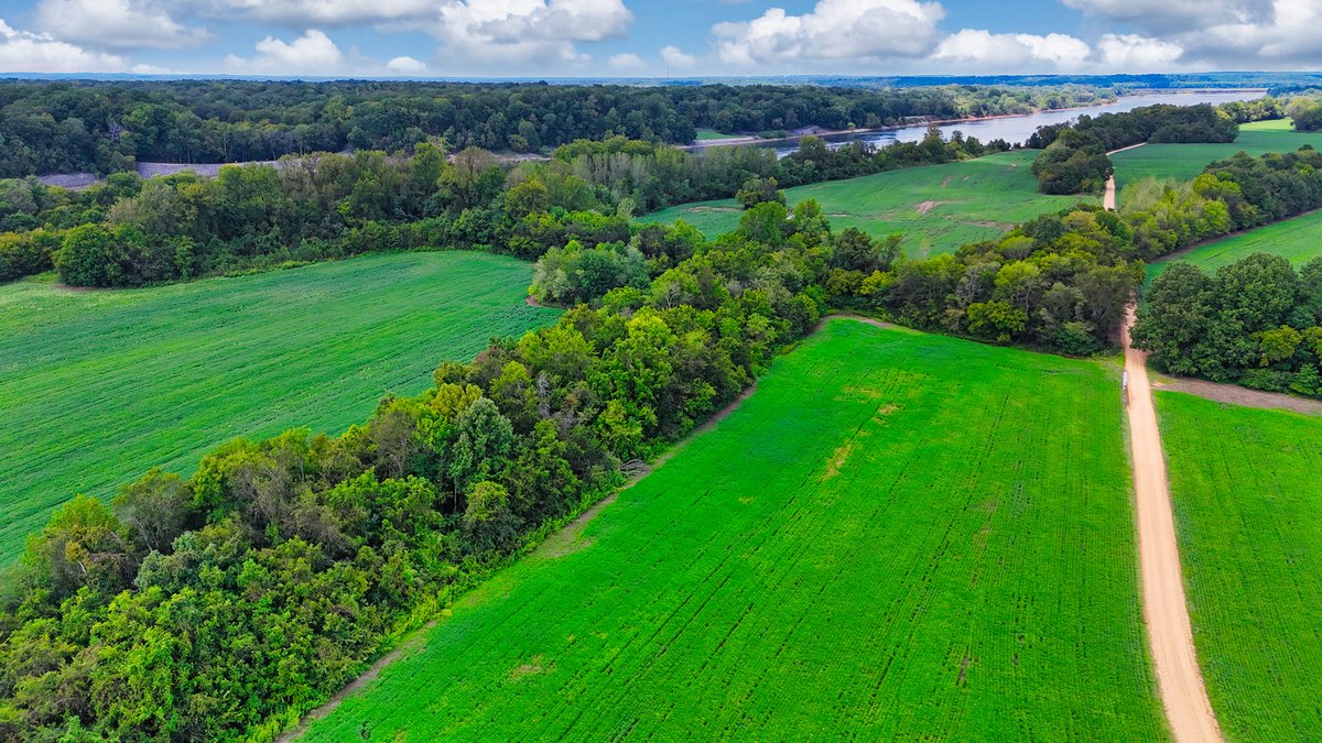 Image for Pittsburg Landing Road, Savannah TN