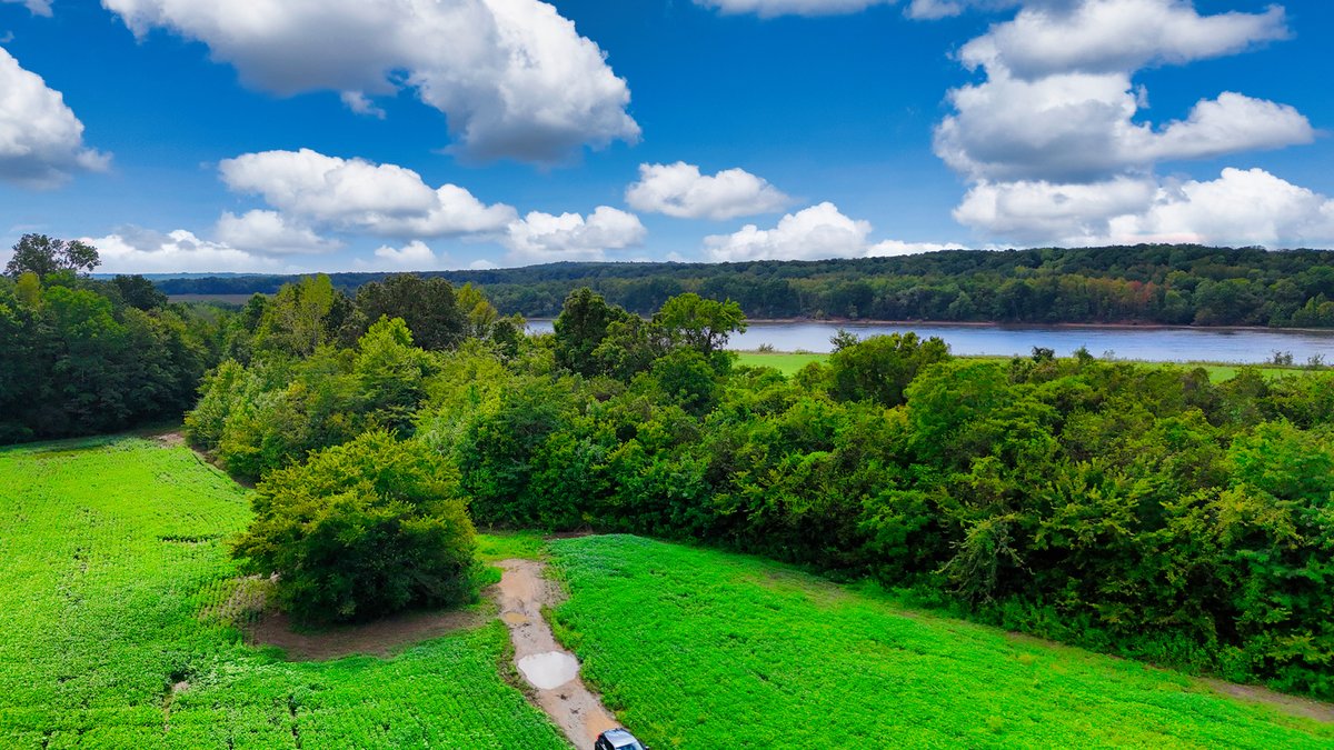 Image for Pittsburg Landing Road, Savannah TN