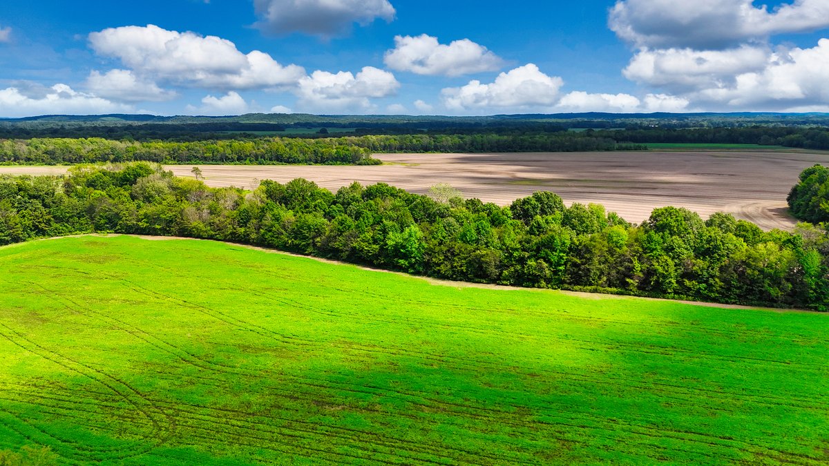 Image for Pittsburg Landing Road, Savannah TN
