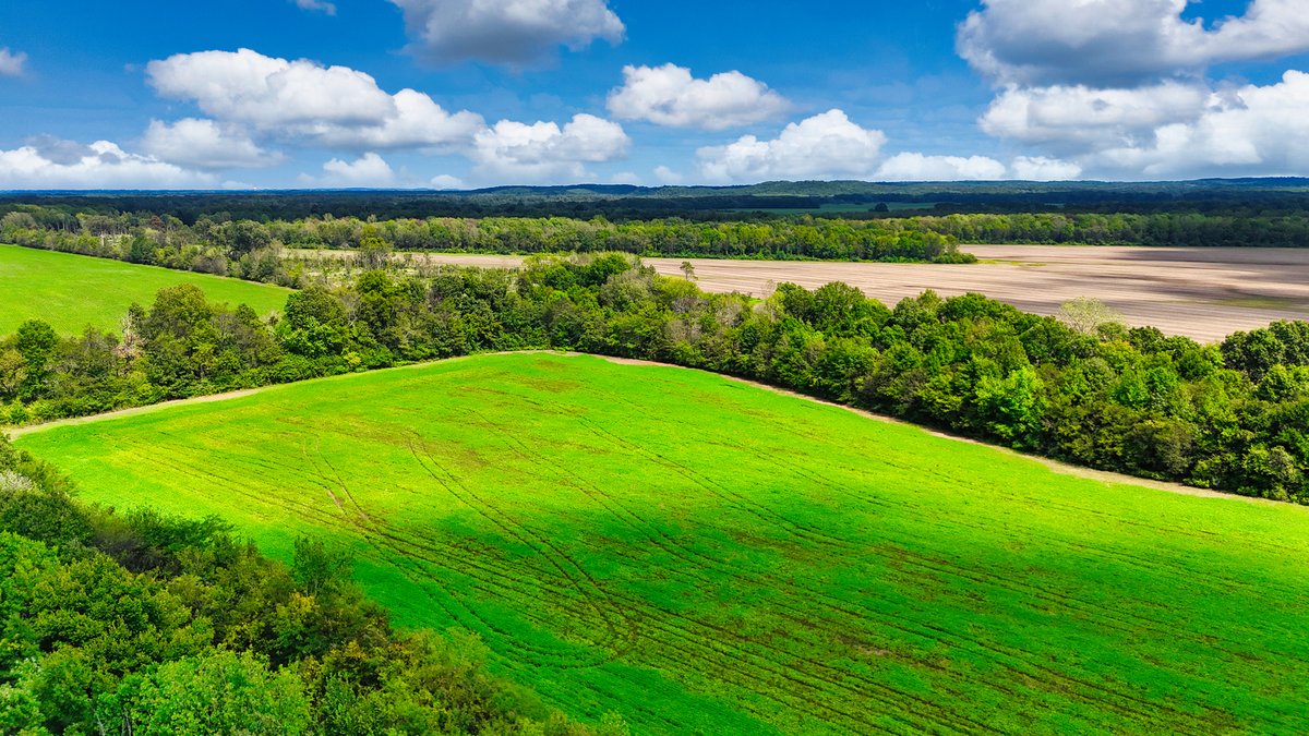Image for Pittsburg Landing Road, Savannah TN