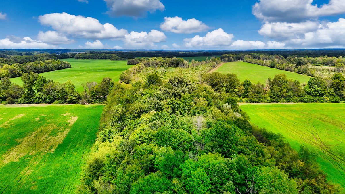 Image for Pittsburg Landing Road, Savannah TN