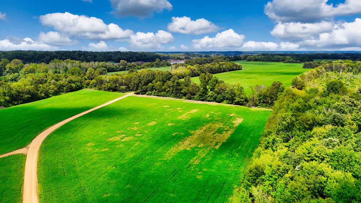 Image for Pittsburg Landing Road, Savannah TN