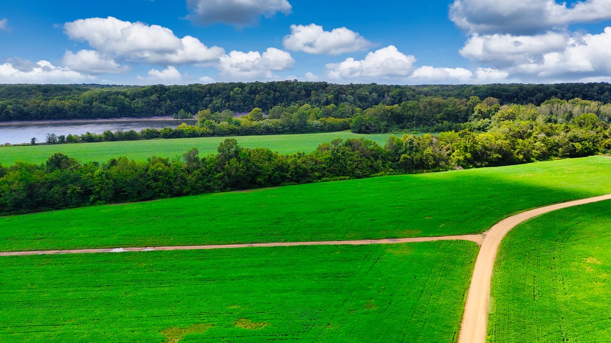 Image for Pittsburg Landing Road, Savannah TN