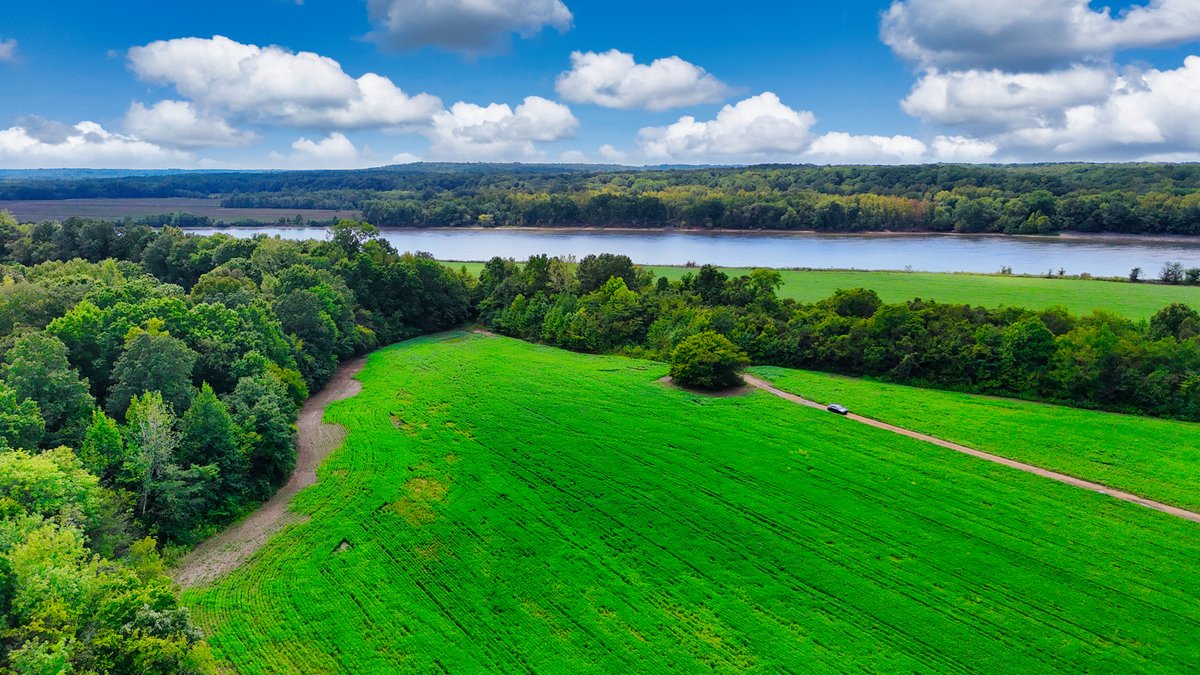 Image for Pittsburg Landing Road, Savannah TN