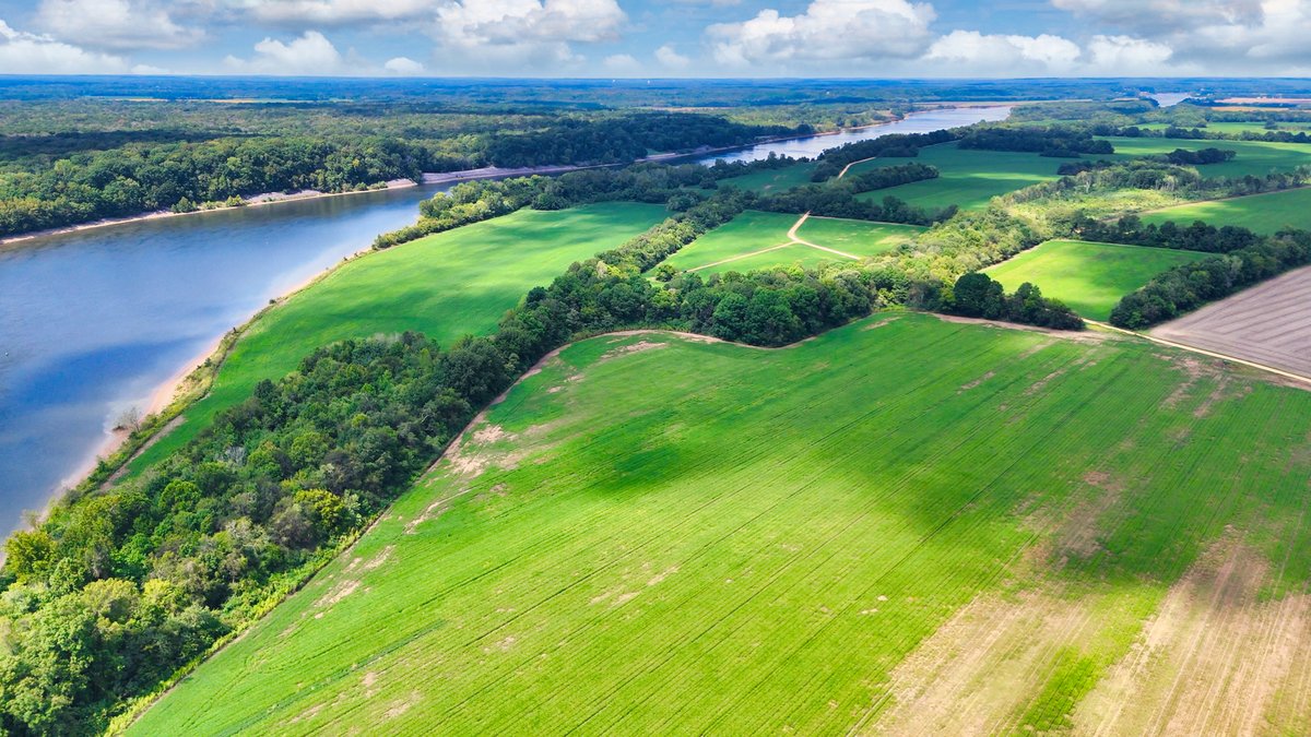 Image for Pittsburg Landing Road, Savannah TN