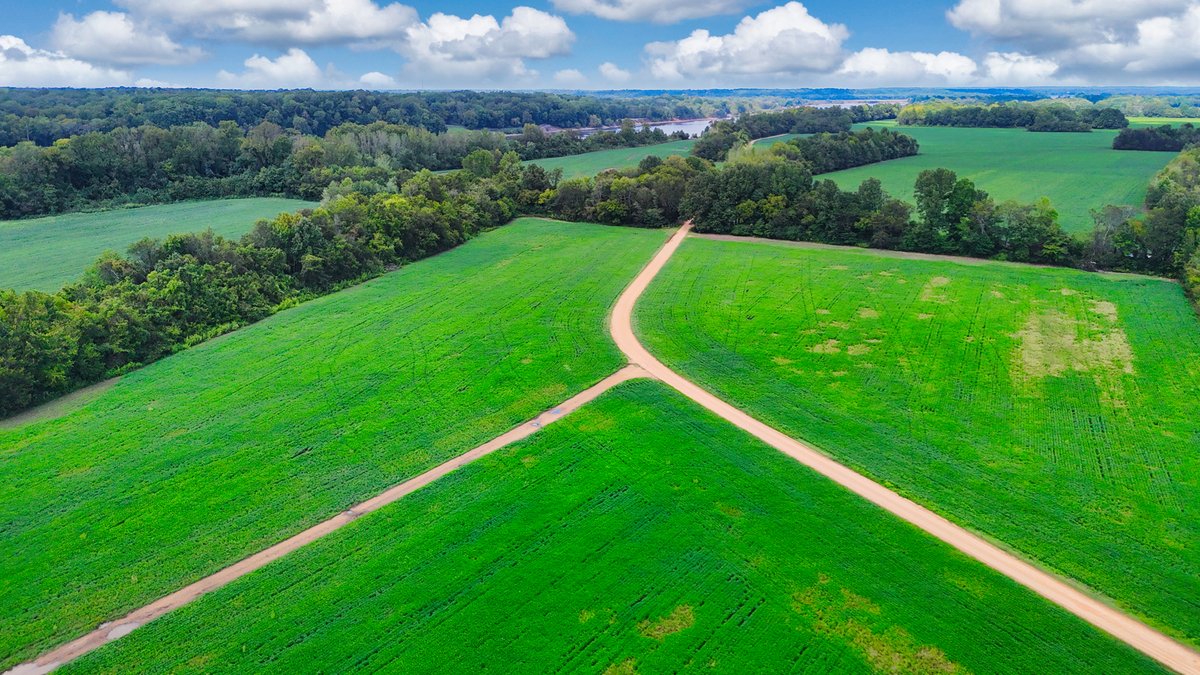 Image for Pittsburg Landing Road, Savannah TN