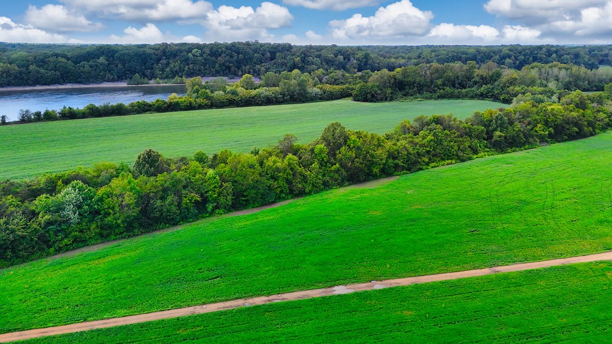 Image for Pittsburg Landing Road, Savannah TN
