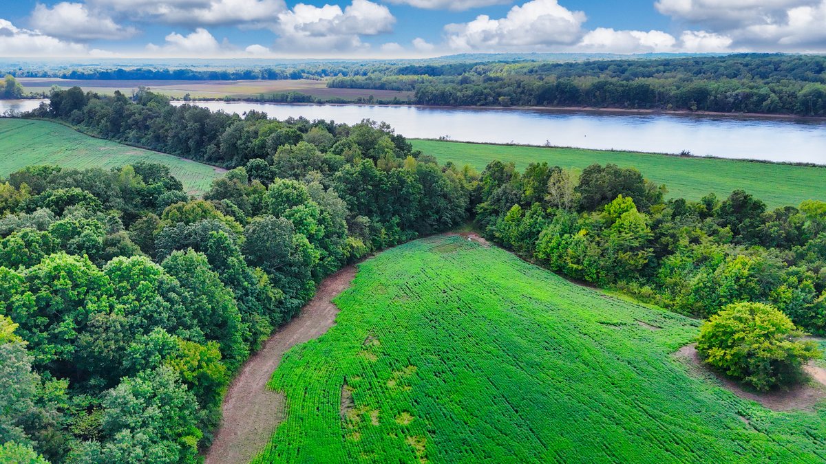 Image for Pittsburg Landing Road, Savannah TN