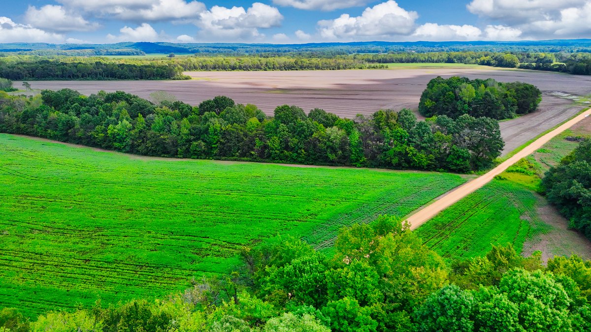 Image for Pittsburg Landing Road, Savannah TN