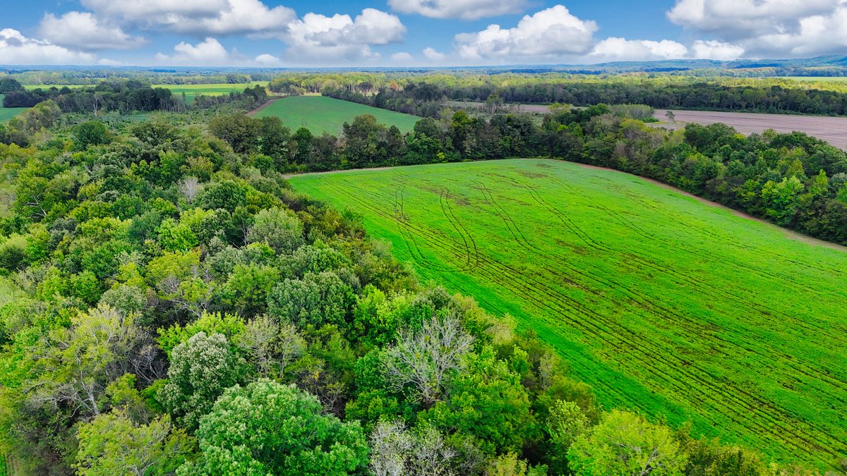 Image for Pittsburg Landing Road, Savannah TN