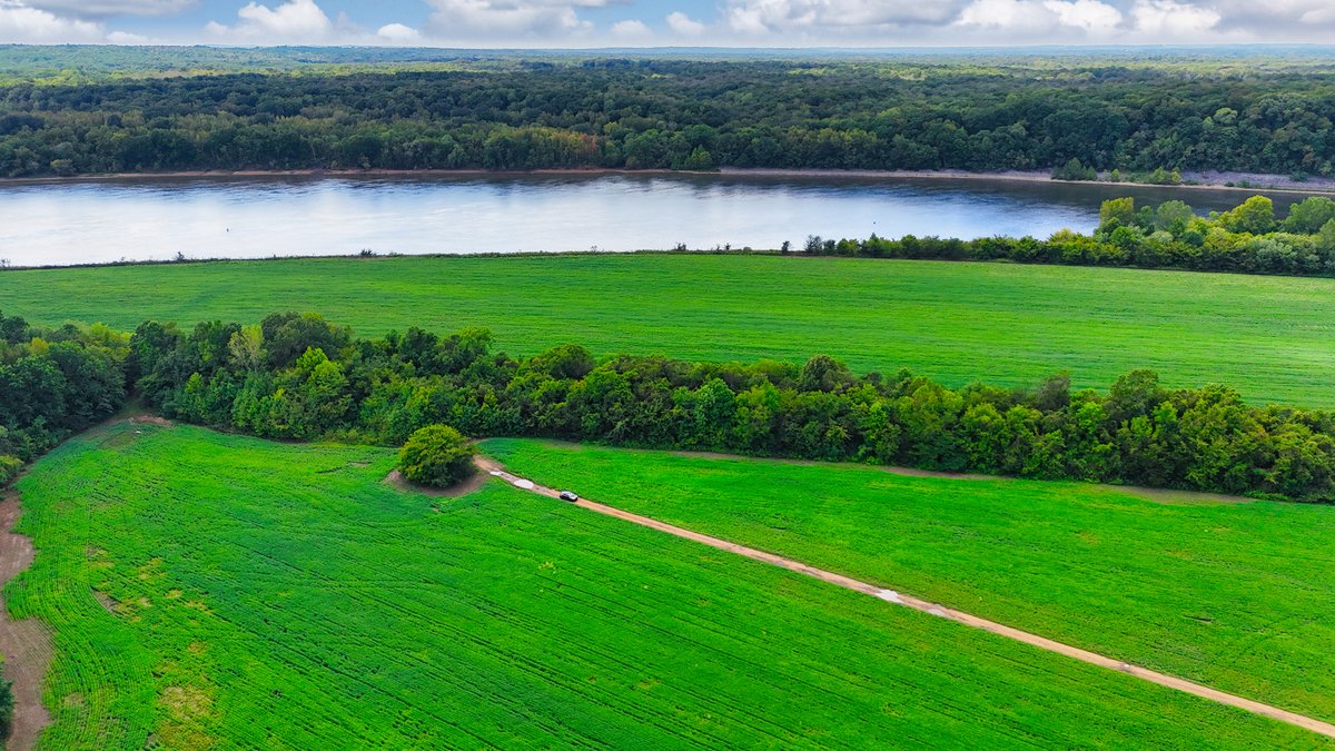 Image for Pittsburg Landing Road, Savannah TN