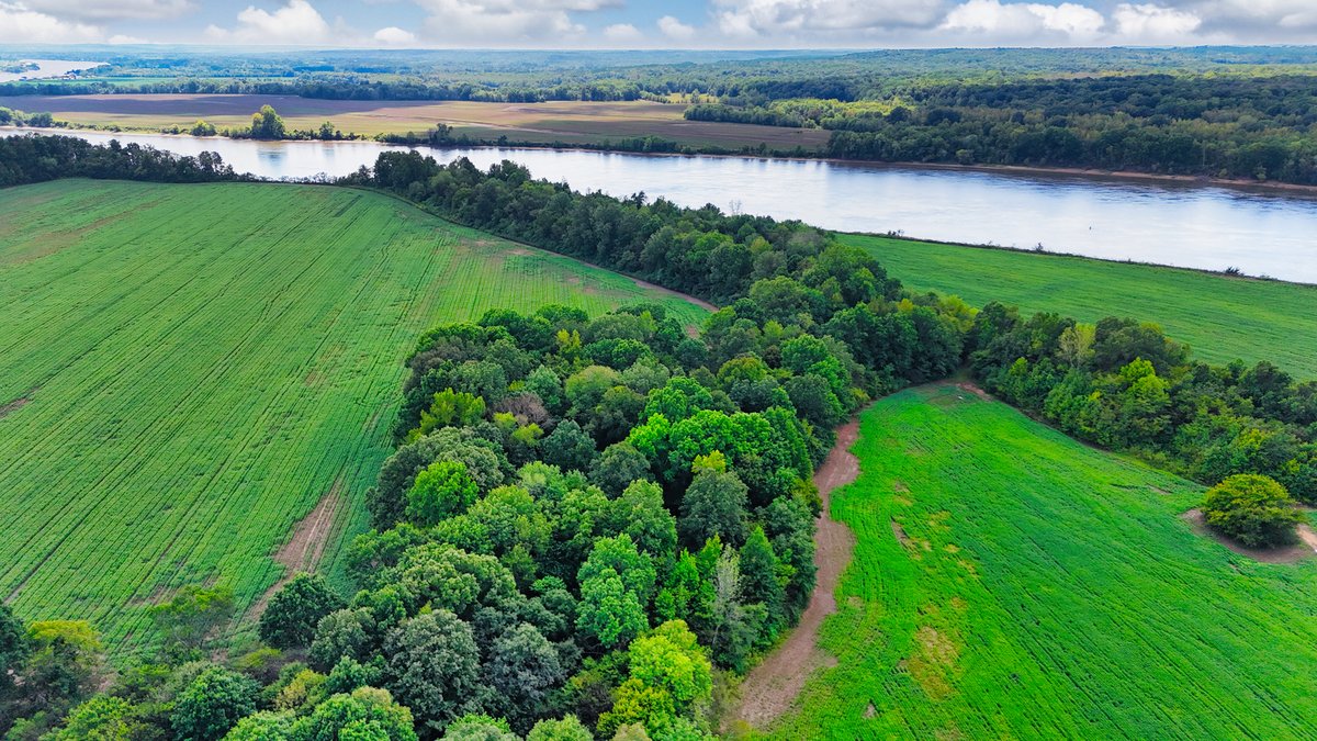Image for Pittsburg Landing Road, Savannah TN