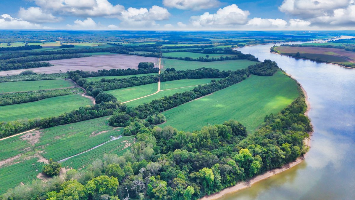 Image for Pittsburg Landing Road, Savannah TN