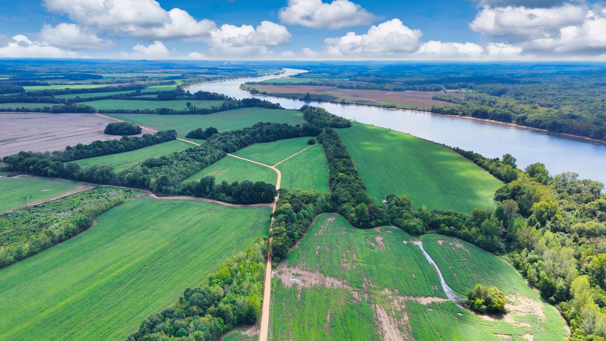 Image for Pittsburg Landing Road, Savannah TN