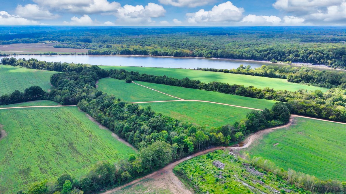 Image for Pittsburg Landing Road, Savannah TN