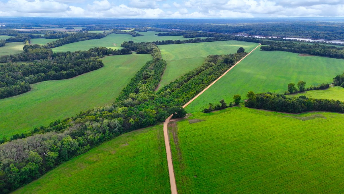 Image for Pittsburg Landing Road, Savannah TN