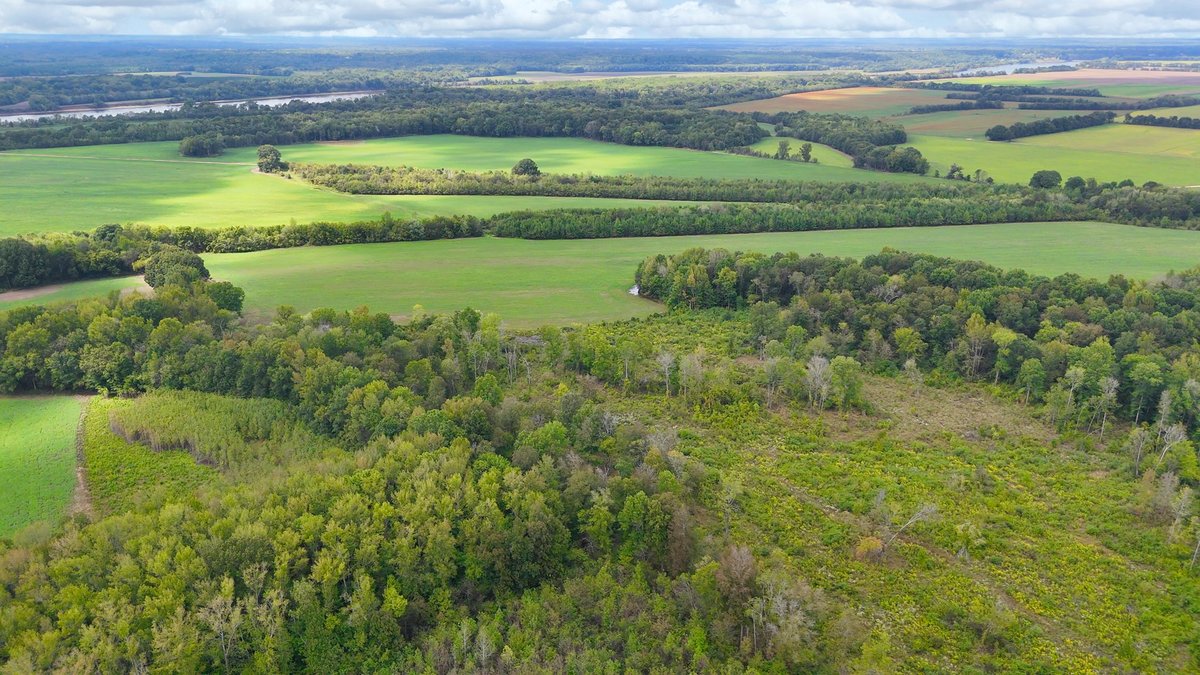 Image for Pittsburg Landing Road, Savannah TN