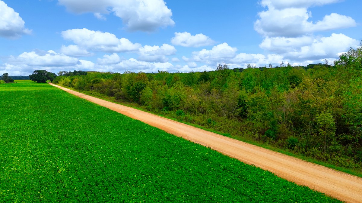 Image for Pittsburg Landing Road, Savannah TN