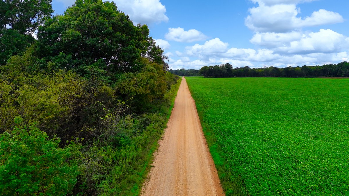 Image for Pittsburg Landing Road, Savannah TN