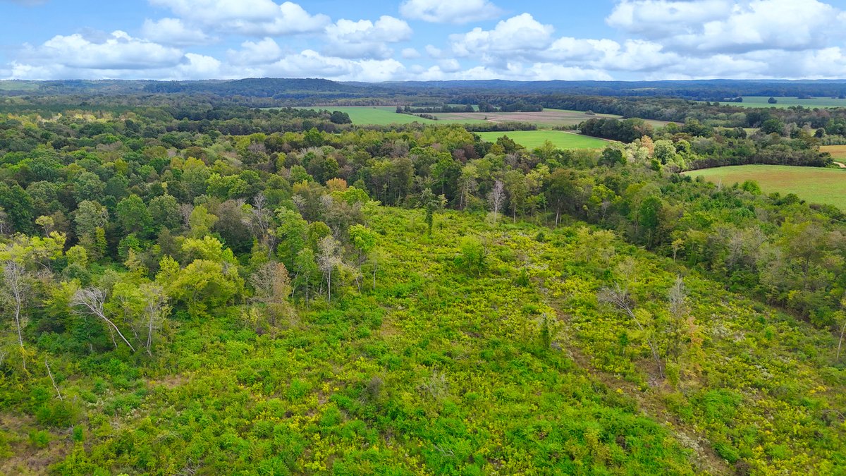 Image for Pittsburg Landing Road, Savannah TN