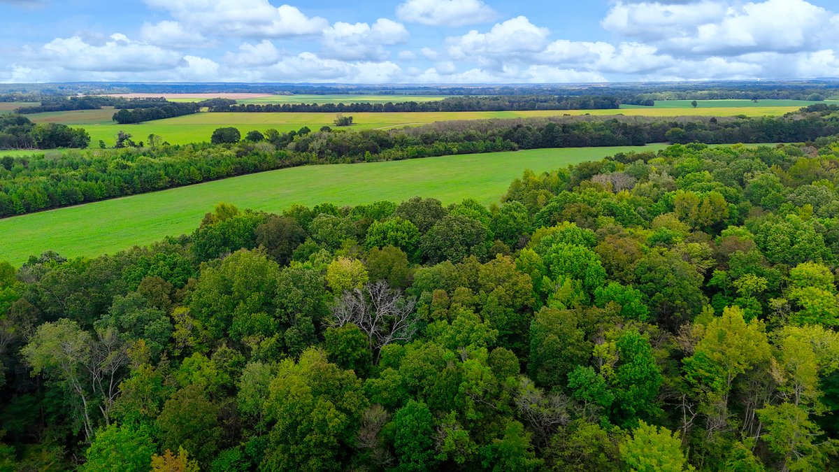 Image for Pittsburg Landing Road, Savannah TN