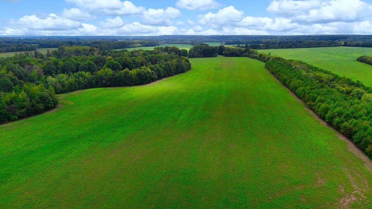 Image for Pittsburg Landing Road, Savannah TN