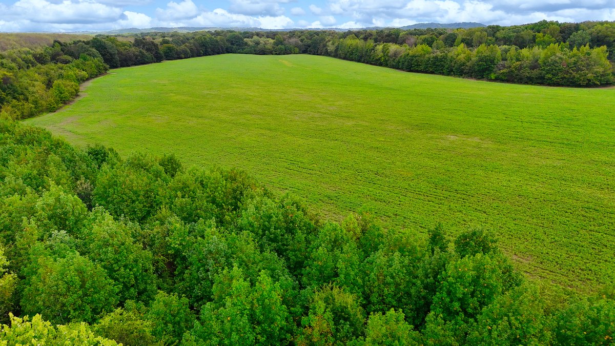 Image for Pittsburg Landing Road, Savannah TN