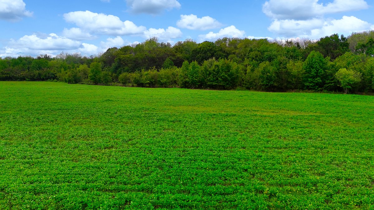 Image for Pittsburg Landing Road, Savannah TN
