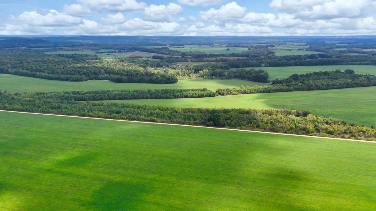 Image for Pittsburg Landing Road, Savannah TN