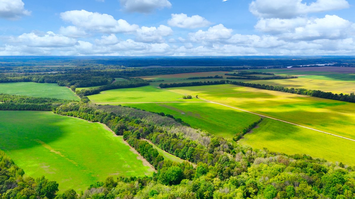 Image for Pittsburg Landing Road, Savannah TN