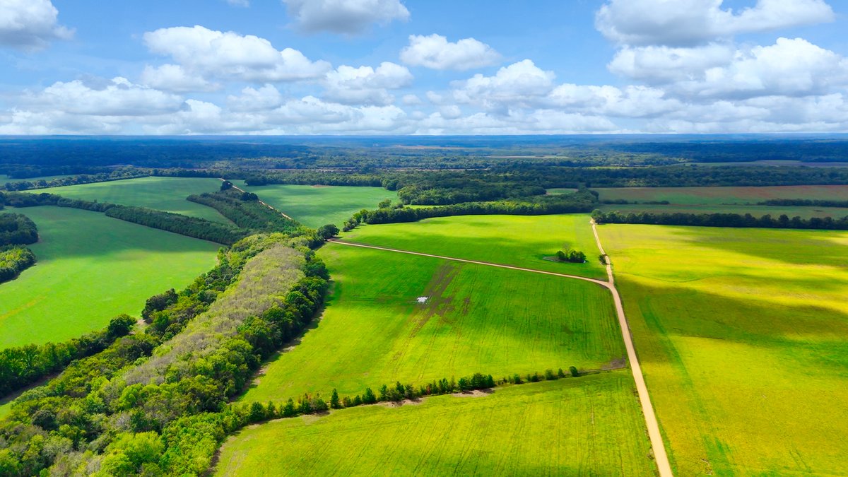 Image for Pittsburg Landing Road, Savannah TN