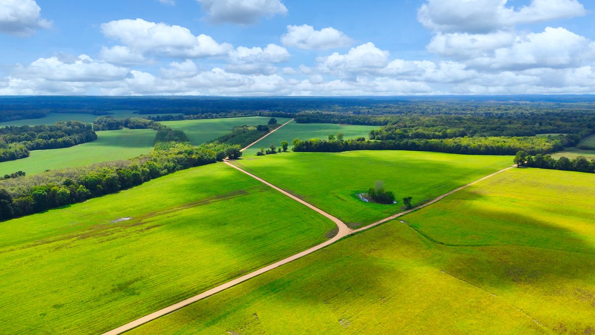 Image for Pittsburg Landing Road, Savannah TN