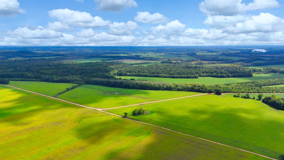 Image for Pittsburg Landing Road, Savannah TN
