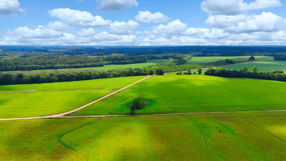 Image for Pittsburg Landing Road, Savannah TN