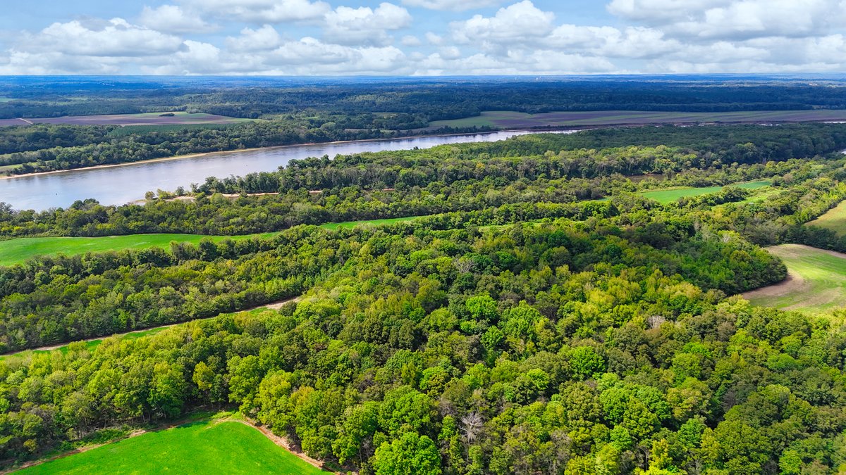 Image for Pittsburg Landing Road, Savannah TN