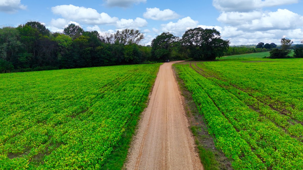 Image for Pittsburg Landing Road, Savannah TN