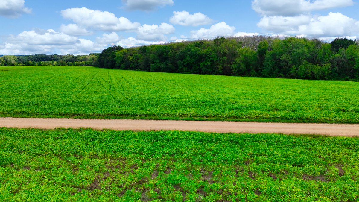Image for Pittsburg Landing Road, Savannah TN