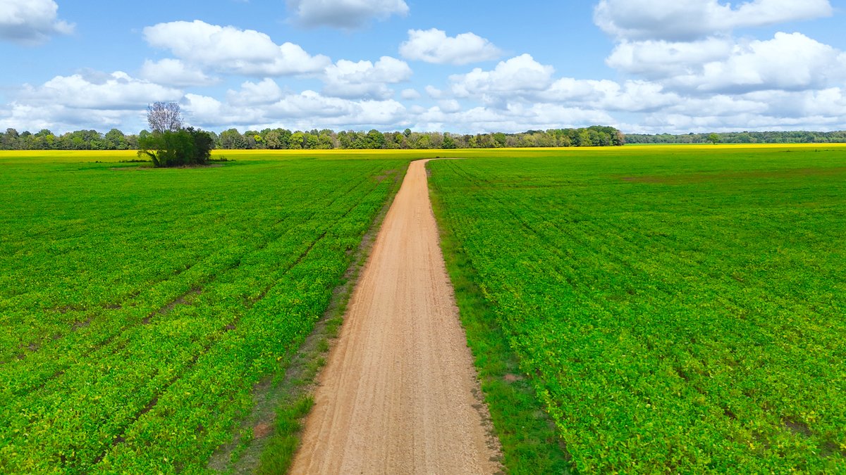 Image for Pittsburg Landing Road, Savannah TN
