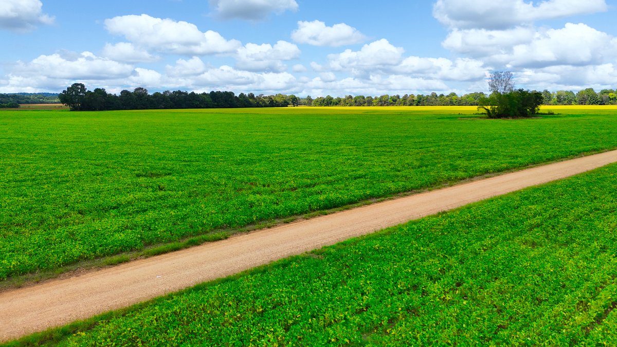 Image for Pittsburg Landing Road, Savannah TN