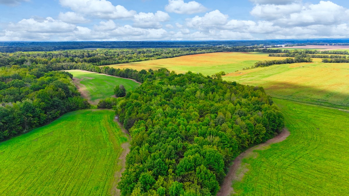 Image for Pittsburg Landing Road, Savannah TN