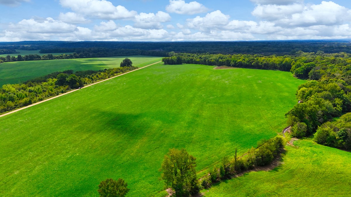 Image for Pittsburg Landing Road, Savannah TN