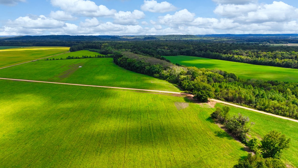 Image for Pittsburg Landing Road, Savannah TN