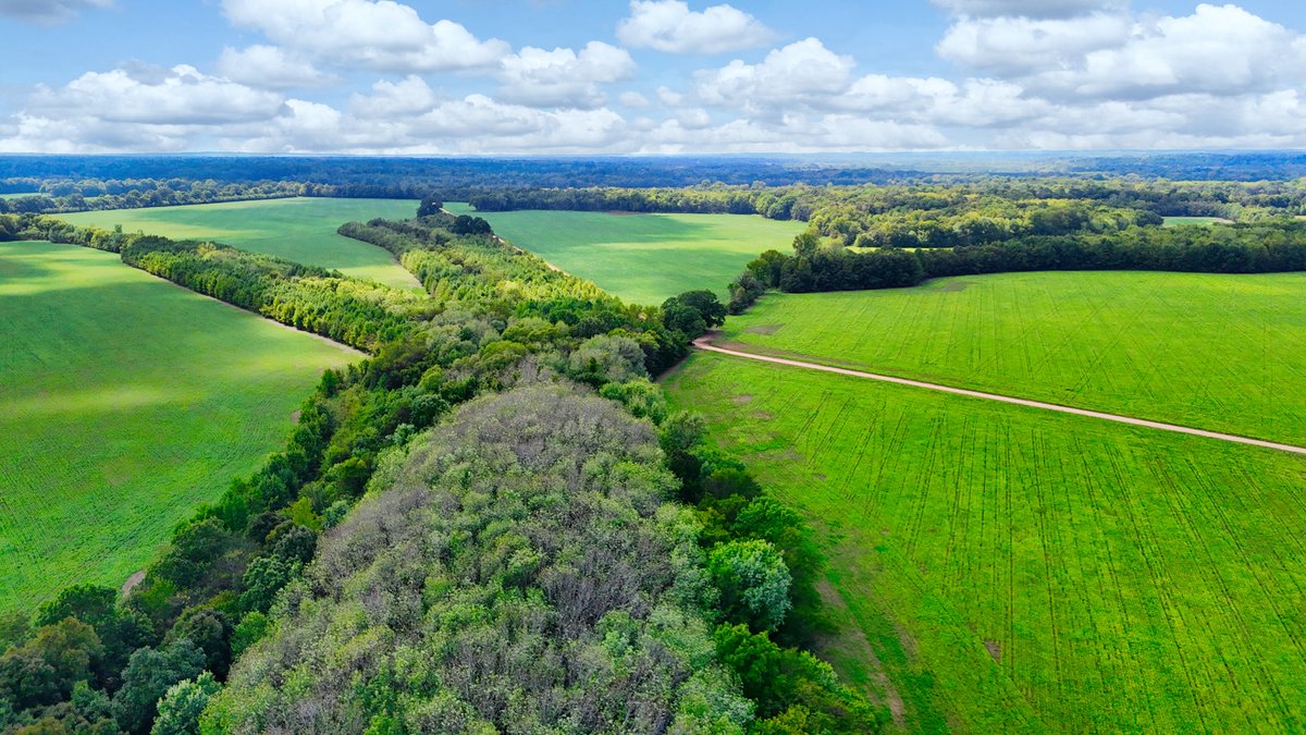 Image for Pittsburg Landing Road, Savannah TN