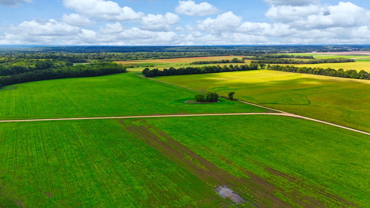 Image for Pittsburg Landing Road, Savannah TN