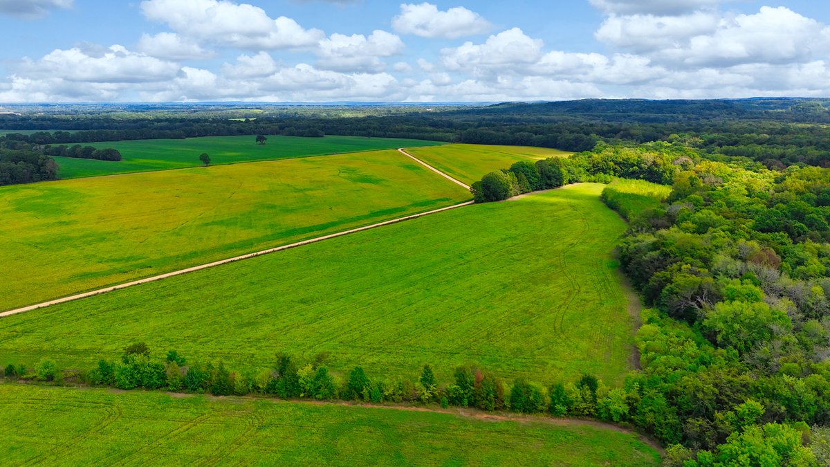 Image for Pittsburg Landing Road, Savannah TN