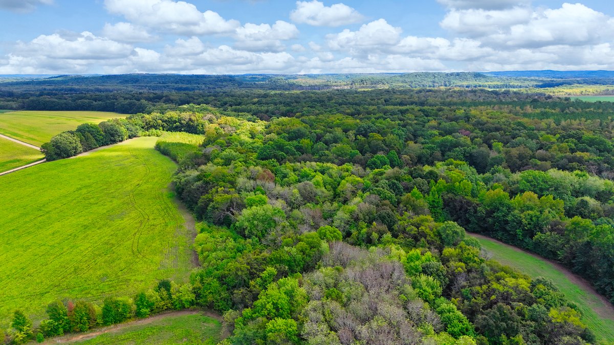 Image for Pittsburg Landing Road, Savannah TN