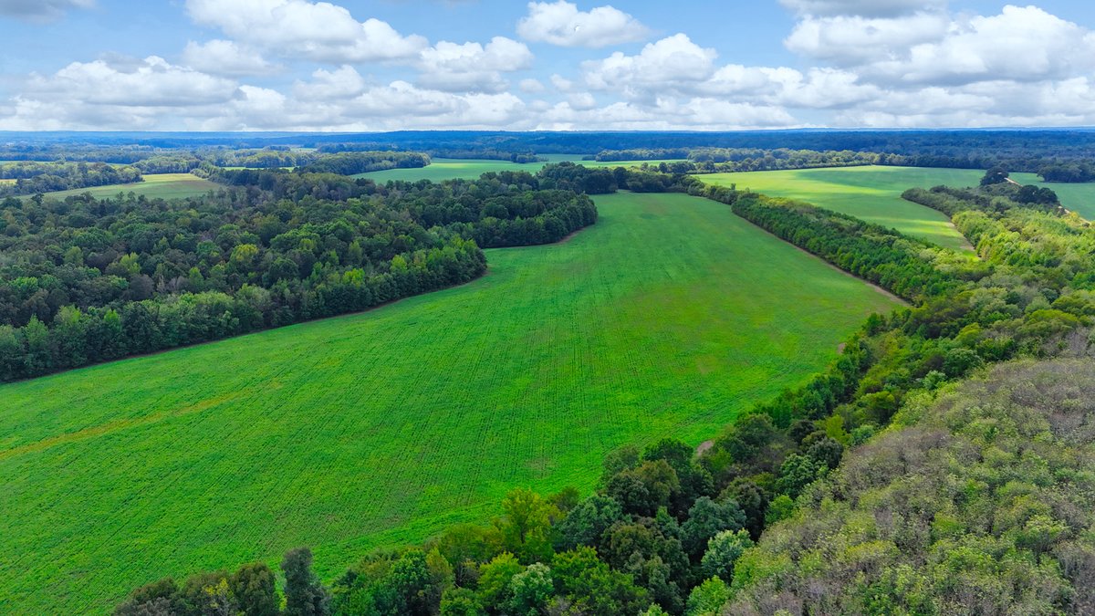 Image for Pittsburg Landing Road, Savannah TN
