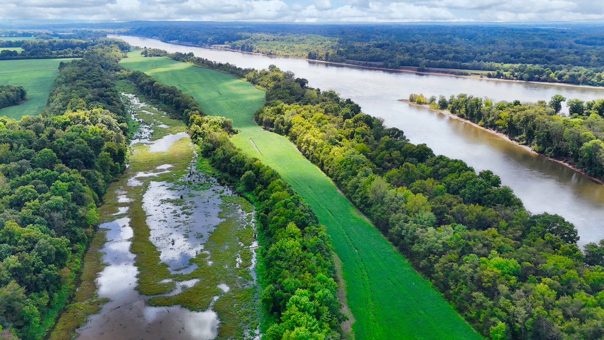 Image for Pittsburg Landing Road, Savannah TN