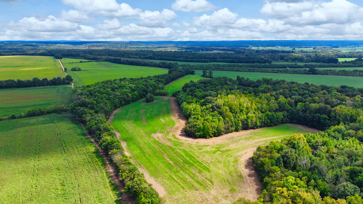 Image for Pittsburg Landing Road, Savannah TN