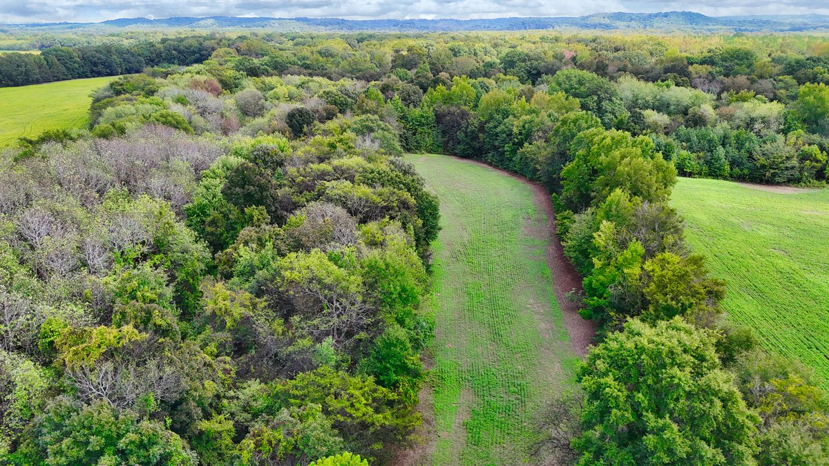 Image for Pittsburg Landing Road, Savannah TN